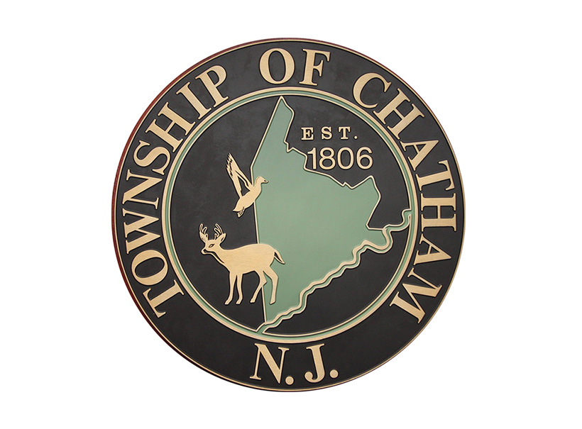 Adopt a Storm Drain in Chatham Township